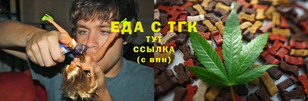 СК Новодвинск