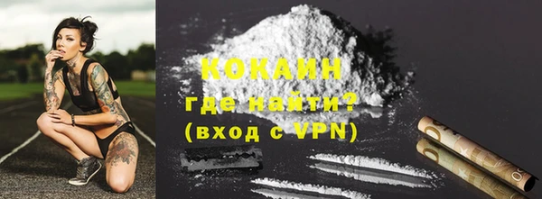 СК Новодвинск