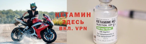 СК Новодвинск