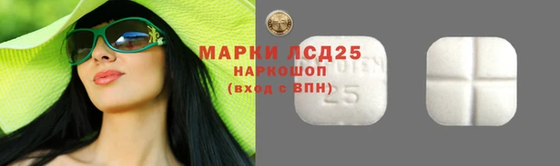 СК Новодвинск