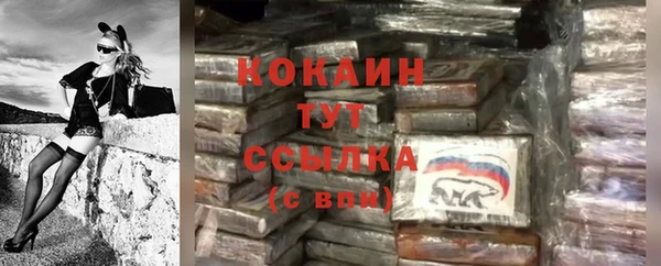 не бодяженный Новозыбков