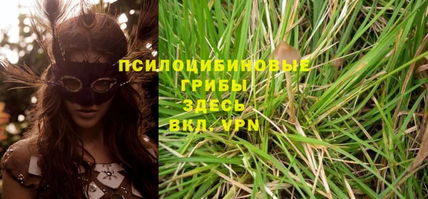 не бодяженный Новозыбков