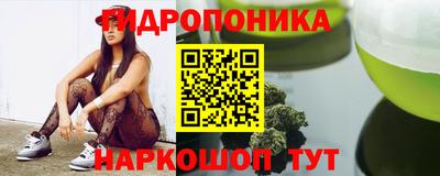 apvp Гусев