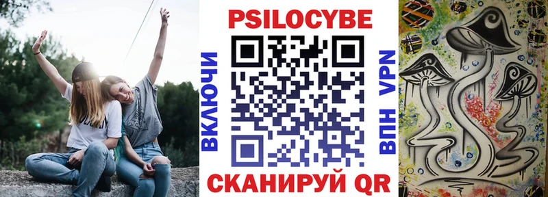 дарнет шоп  Заводоуковск  Псилоцибиновые грибы прущие грибы 