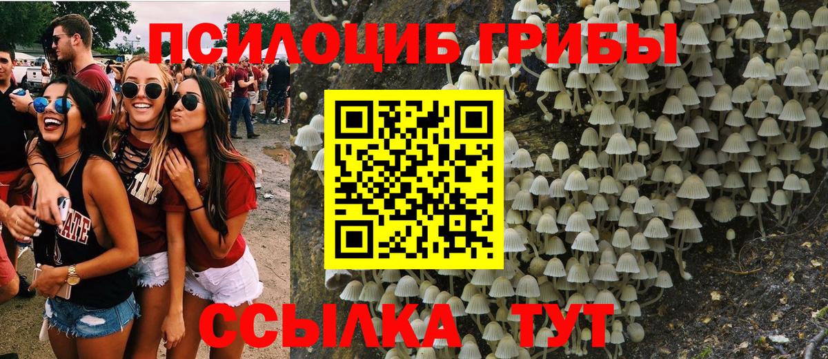 Псилоцибиновые грибы прущие грибы  Галлюциногенные грибы прущие грибы  Вход с VPN  Заводоуковск 