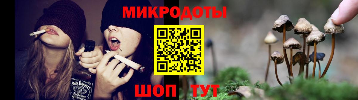 Псилоцибиновые грибы GOLDEN TEACHER Заводоуковск