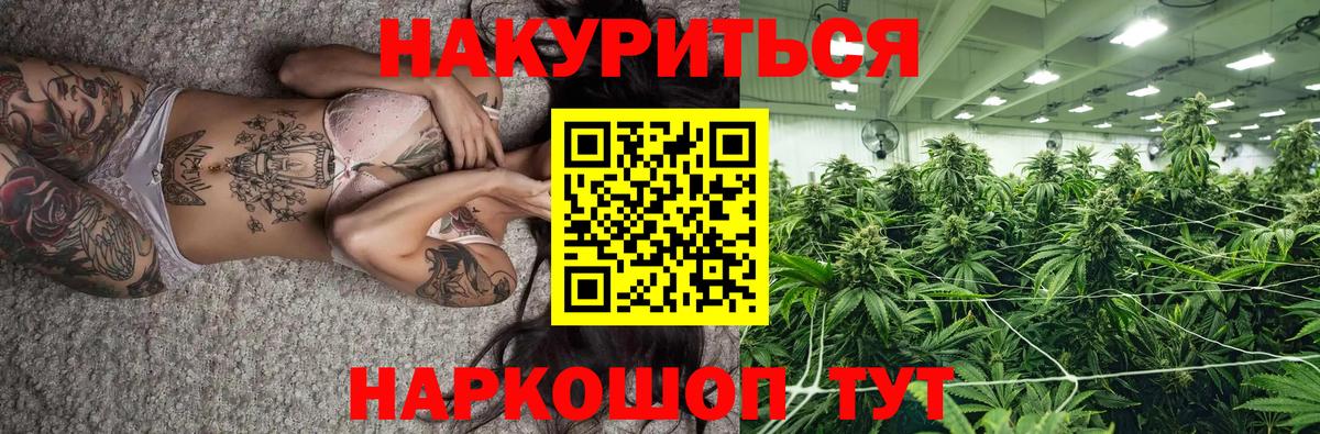 Канабис SATIVA & INDICA  Вход с VPN  МАРИХУАНА SATIVA & INDICA  Заводоуковск 